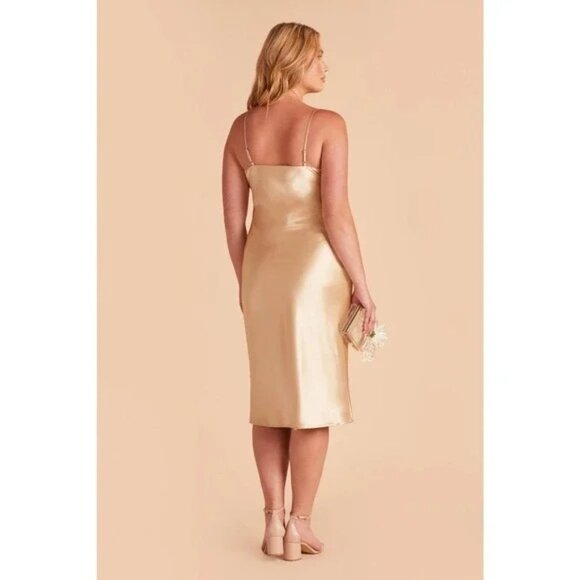 Birdy Grey Lisa Satin Midi Dress 1X Neutral Champagne NWT see description - Picture 2 of 12